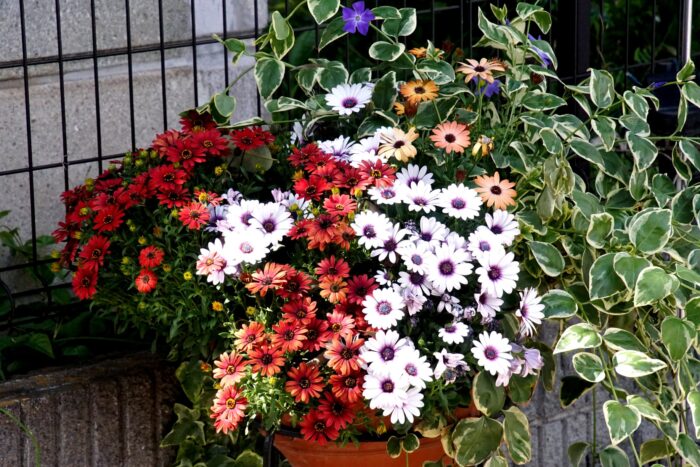 DSC07048_0